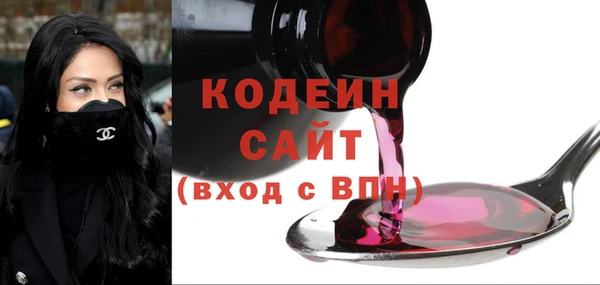 первитин Инта