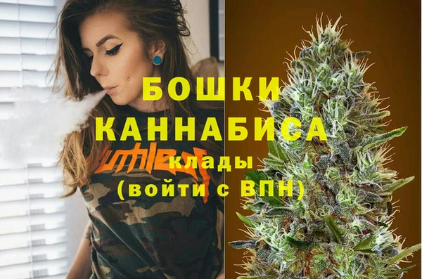 первитин Инта