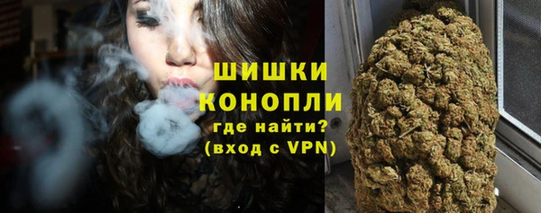спайс Инсар