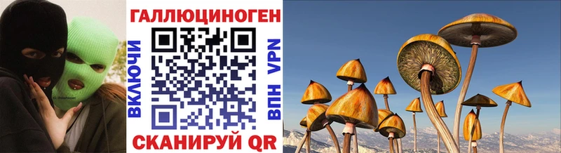 Купить где  Видное  Псилоцибиновые грибы Cubensis 